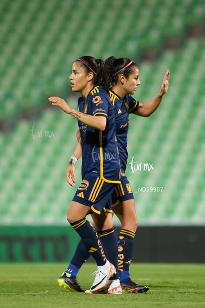 Lizbeth Ovalle | Santos vs Tigres femenil