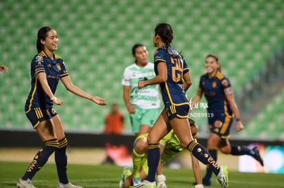  | Santos vs Tigres femenil