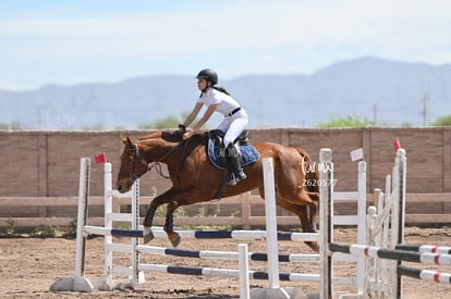  | Concurso ecuestre  Las Brisas