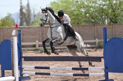  | Concurso ecuestre  Las Brisas