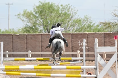  | Concurso ecuestre  Las Brisas