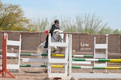  | Concurso ecuestre  Las Brisas