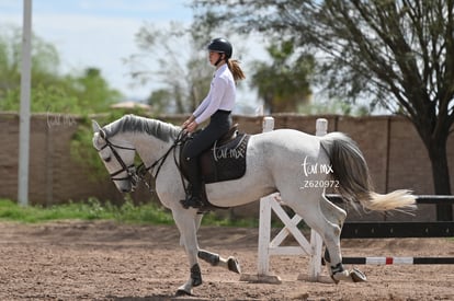  | Concurso ecuestre  Las Brisas