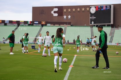 Michel Ruiz | Santos Laguna vs Querétaro femenil