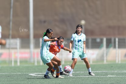 Santos Mazatlán sub 19 | Santos Mazatlán femenil sub 19