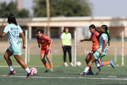 Santos Mazatlán sub 19 | Santos Mazatlán femenil sub 19