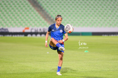  | Santos vs Cruz Azul femenil