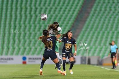  | Santos vs Pumas femenil