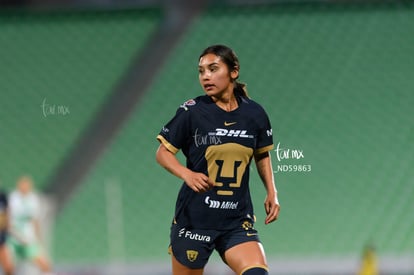  | Santos vs Pumas femenil