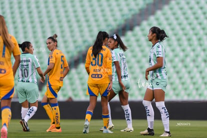 Santos vs Tigres femenil | Santos vs Tigres femenil J7