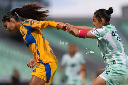 Santos vs Tigres femenil | Santos vs Tigres femenil J7