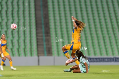 Santos vs Tigres femenil | Santos vs Tigres femenil J7