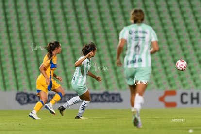 Santos vs Tigres femenil | Santos vs Tigres femenil J7