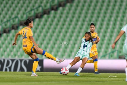 Kimberli Gómez, Maricarmen Reyes | Santos vs Tigres femenil J7