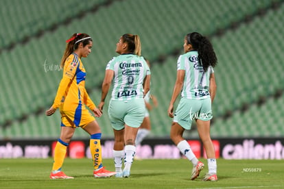 Santos vs Tigres femenil | Santos vs Tigres femenil J7