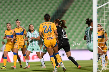 Aurora Santiago | Santos vs Tigres femenil J7