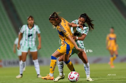 Michel Ruiz, Natalia Villarreal | Santos vs Tigres femenil J7