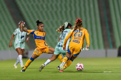 Belén Cruz, Marianne Martínez | Santos vs Tigres femenil J7