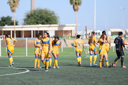 equipo | Santos vs Tigres femenil sub 19