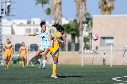  | Santos vs Tigres femenil sub 19