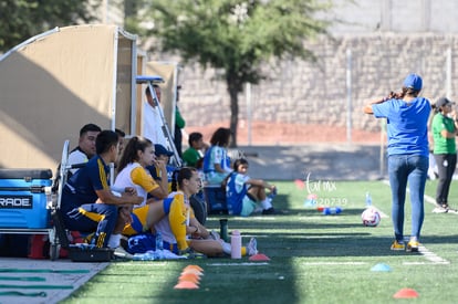  | Santos vs Tigres femenil sub 19