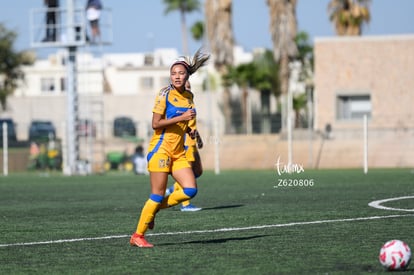 Angélica Antonio | Santos vs Tigres femenil sub 19