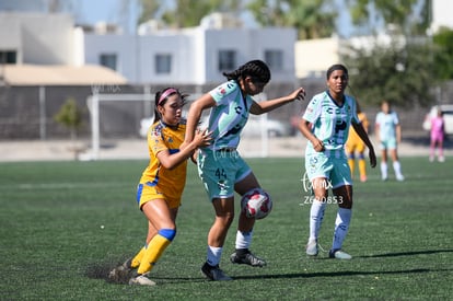 Tania Baca | Santos vs Tigres femenil sub 19