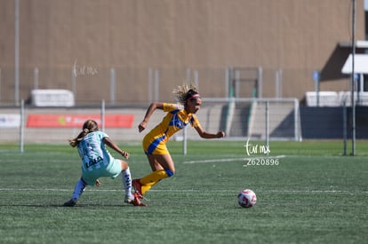  | Santos vs Tigres femenil sub 19