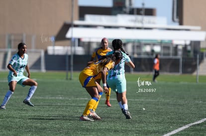  | Santos vs Tigres femenil sub 19