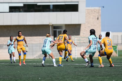 Ana Salas | Santos vs Tigres femenil sub 19