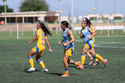  | Santos vs Tigres femenil sub 19