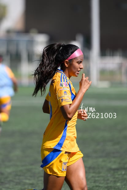 Aidinn López | Santos vs Tigres femenil sub 19