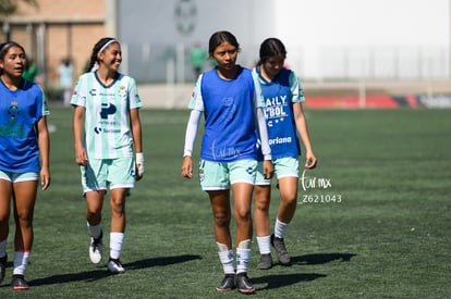  | Santos vs Tigres femenil sub 19