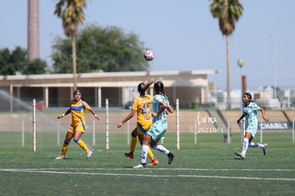  | Santos vs Tigres femenil sub 19