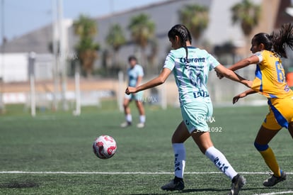 América Rodríguez, Aylin Salais | Santos vs Tigres femenil sub 19