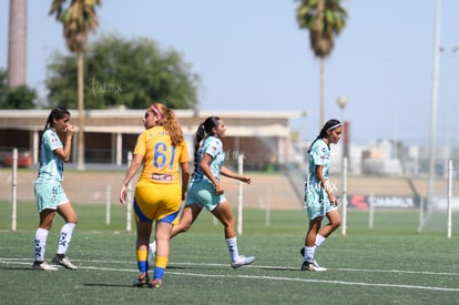  | Santos vs Tigres femenil sub 19