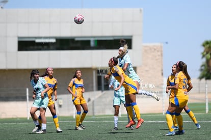 Vanessa Castillo | Santos vs Tigres femenil sub 19