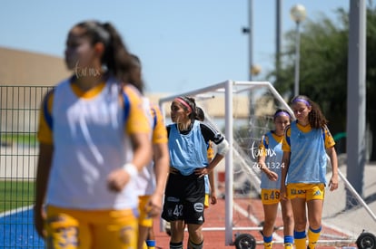  | Santos vs Tigres femenil sub 19