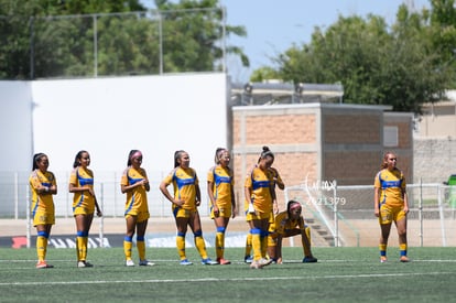 equipo | Santos vs Tigres femenil sub 19