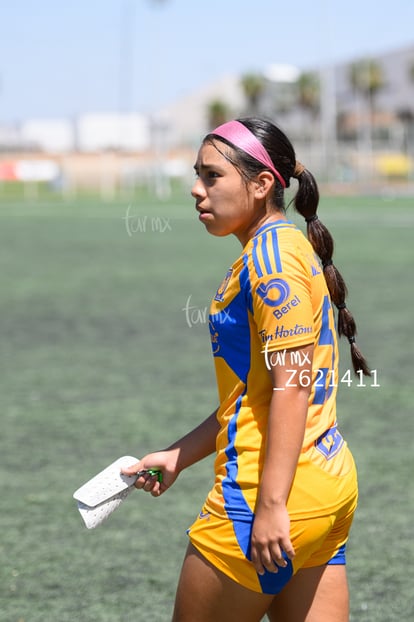  | Santos vs Tigres femenil sub 19