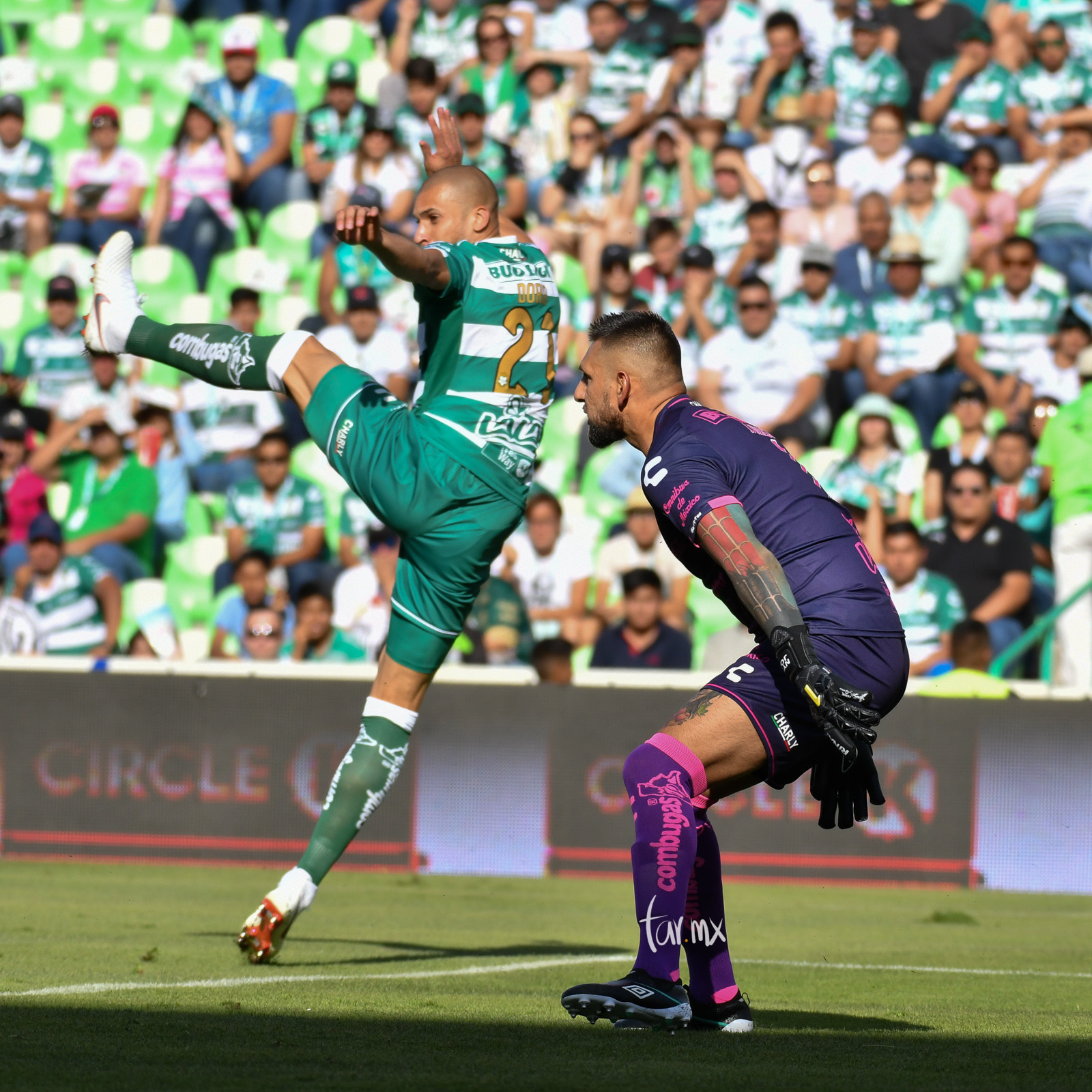Fotos del Santos vs Querétaro
