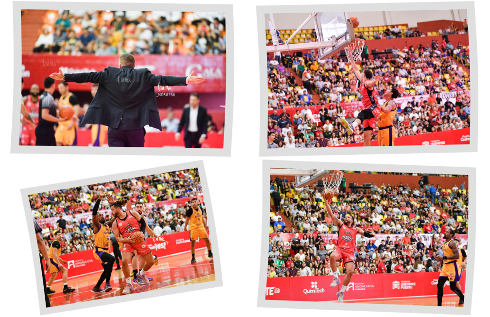 Toros Laguna vs Dorados de Chihuahua