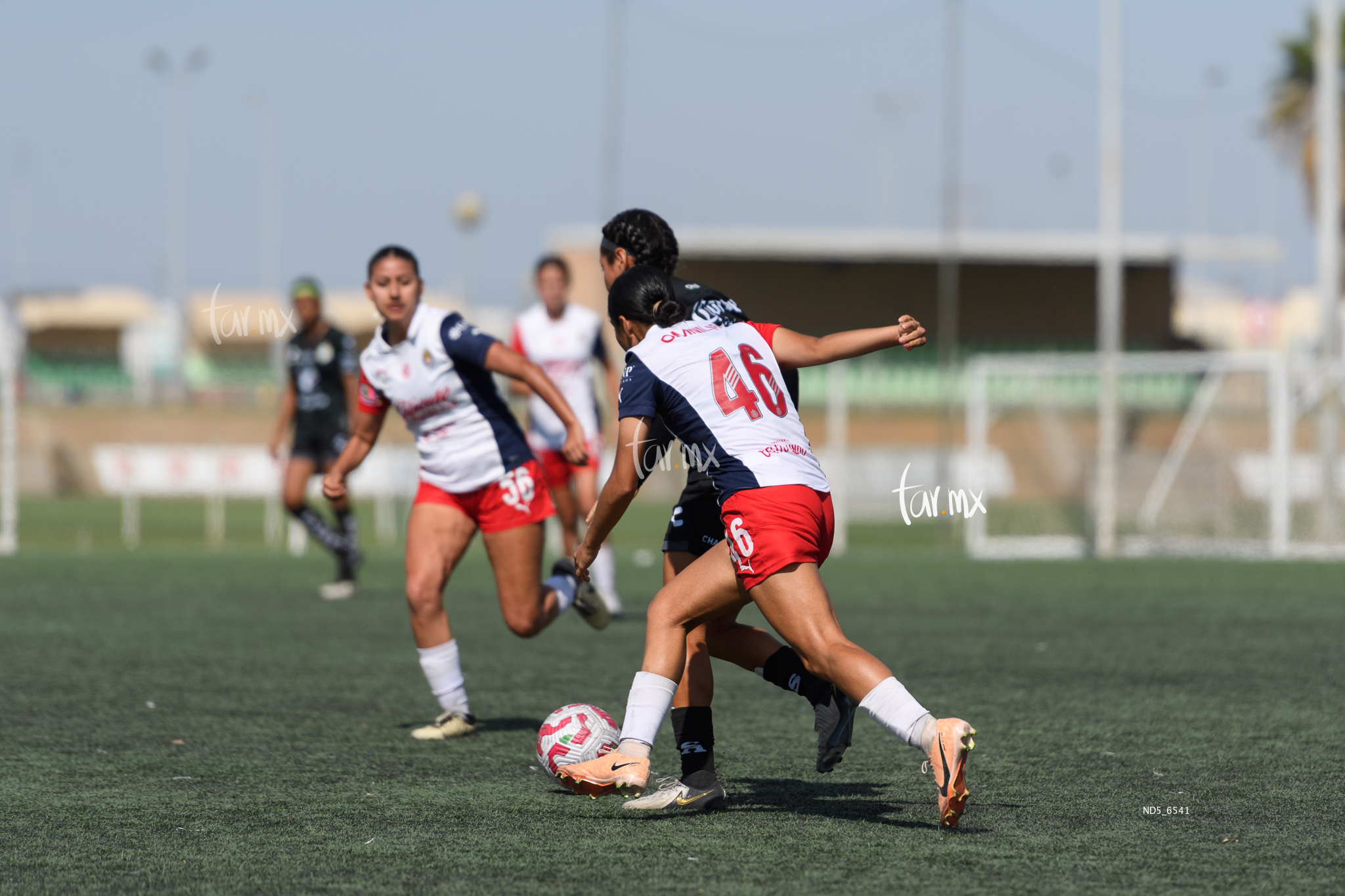 Valeria Alvarado » Santos Laguna vs Chivas Guadalajara sub 19