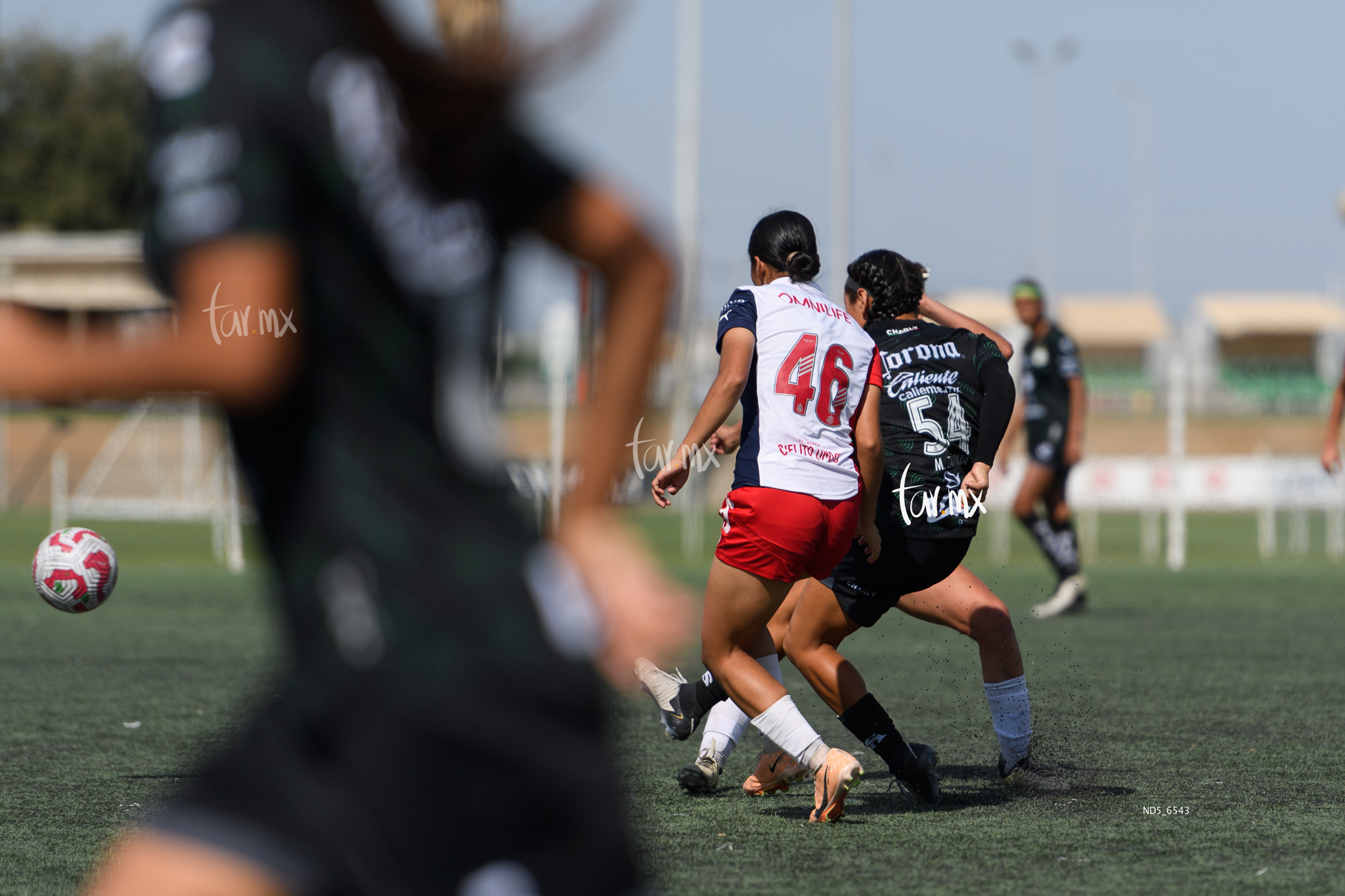 Valeria Alvarado » Santos Laguna vs Chivas Guadalajara sub 19