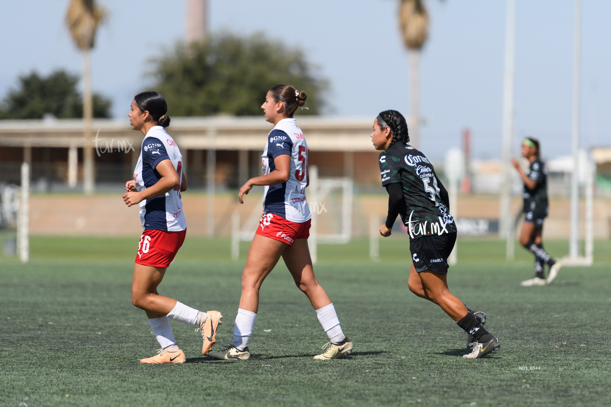 Santos Laguna vs Chivas Guadalajara sub 19 » Santos Laguna vs Chivas Guadalajara sub 19