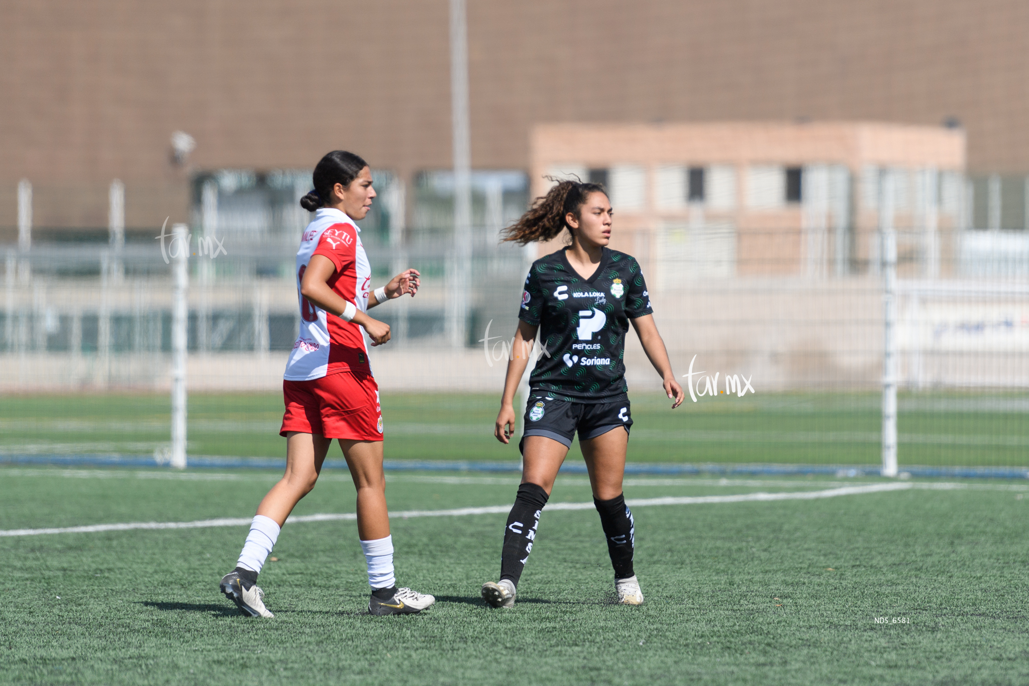 Santos Laguna vs Chivas Guadalajara sub 19 » Santos Laguna vs Chivas Guadalajara sub 19