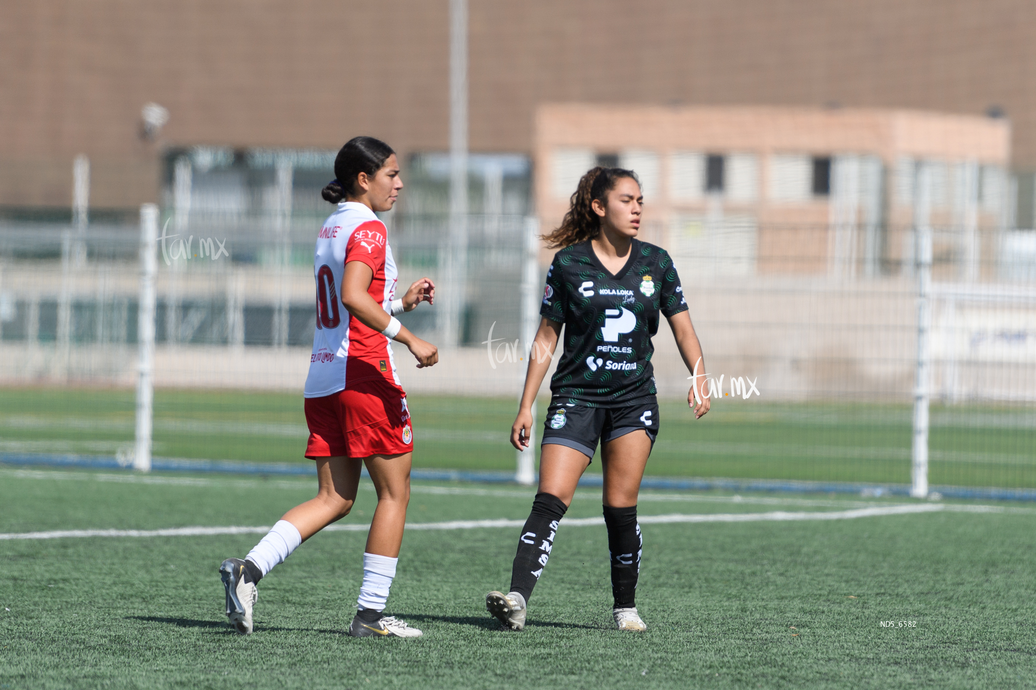 Santos Laguna vs Chivas Guadalajara sub 19 » Santos Laguna vs Chivas Guadalajara sub 19