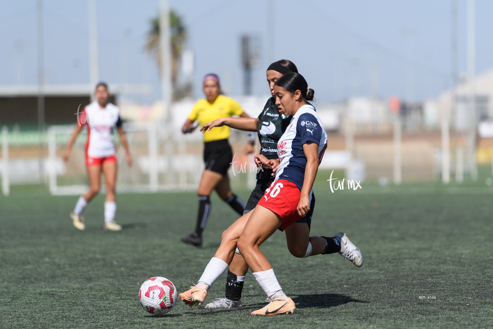 Valeria Alvarado » Santos Laguna vs Chivas Guadalajara sub 19