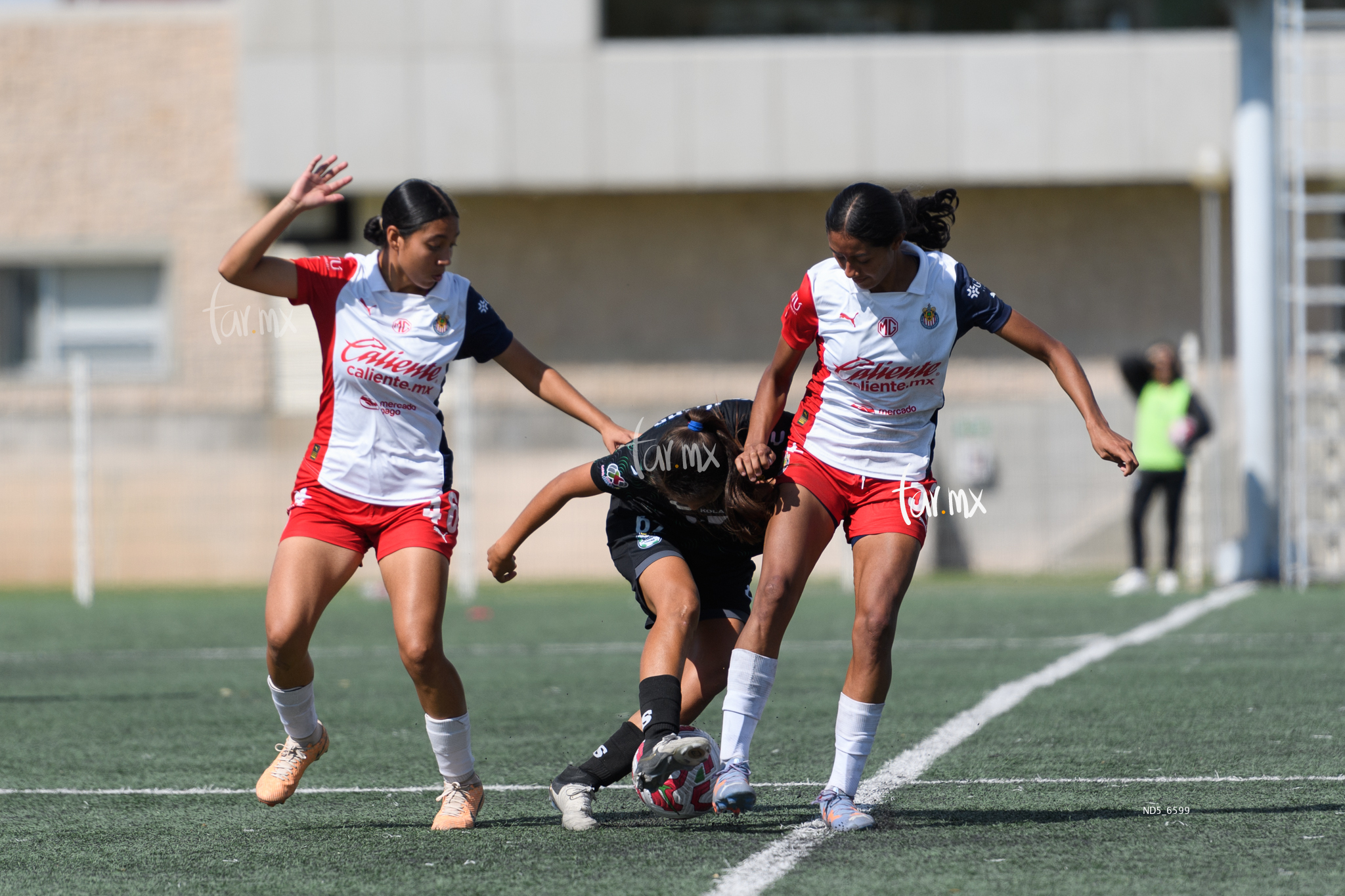 Kimberlin Galicia » Santos Laguna vs Chivas Guadalajara sub 19