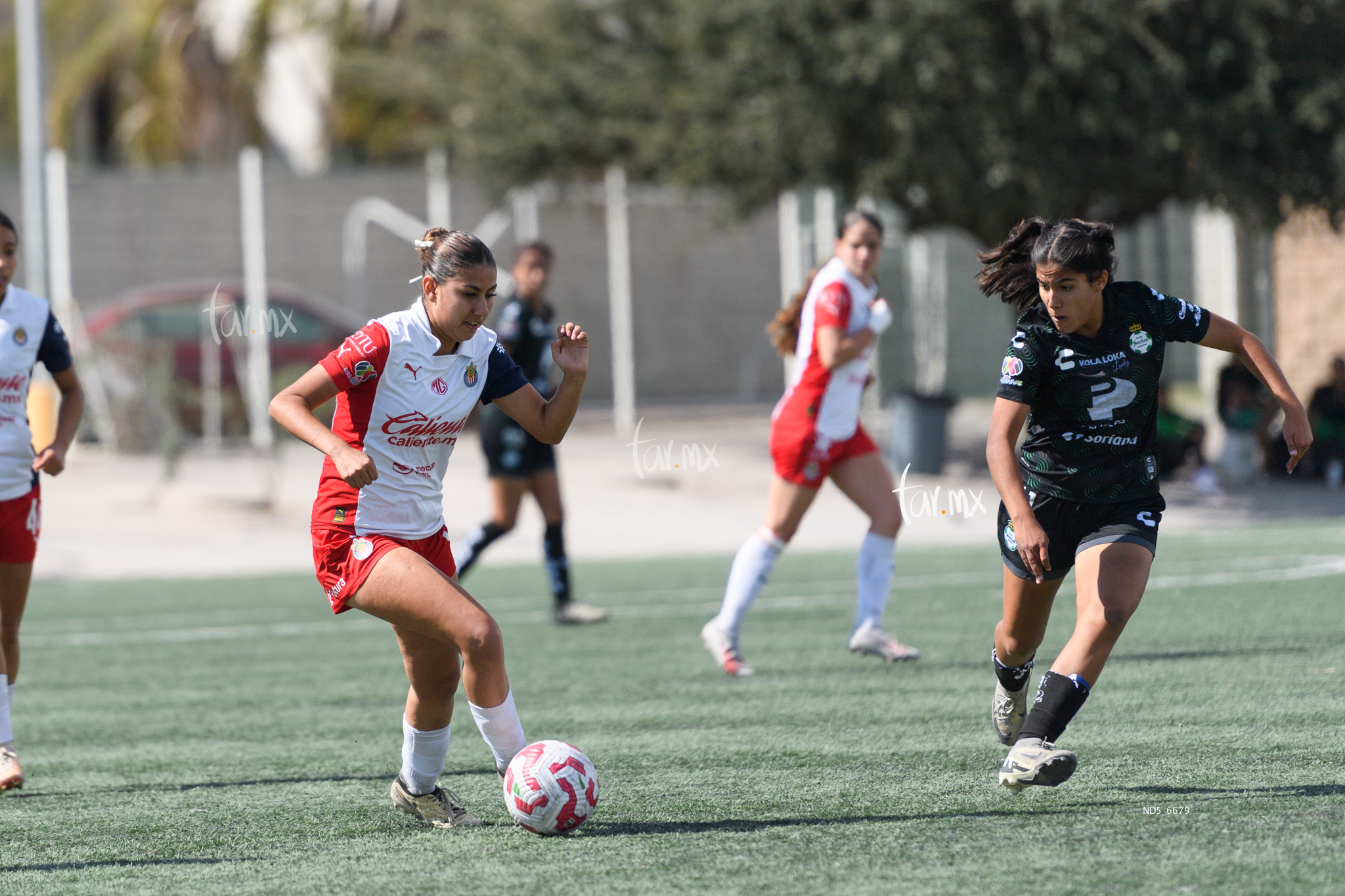 Amalia López, Genoveva Rojas » Santos Laguna vs Chivas Guadalajara sub 19